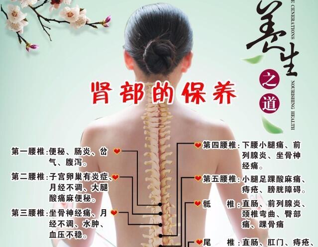 南寧美容培訓(xùn)：腎部保養(yǎng)銷(xiāo)售話(huà)術(shù)