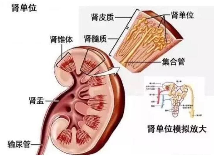 QQ截圖20210107105423.jpg