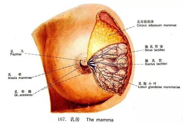 QQ截圖20210410141859.jpg