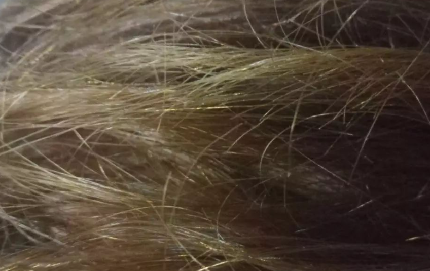 南寧美發(fā)培訓哪家正規(guī)？看分享的技巧就知道了