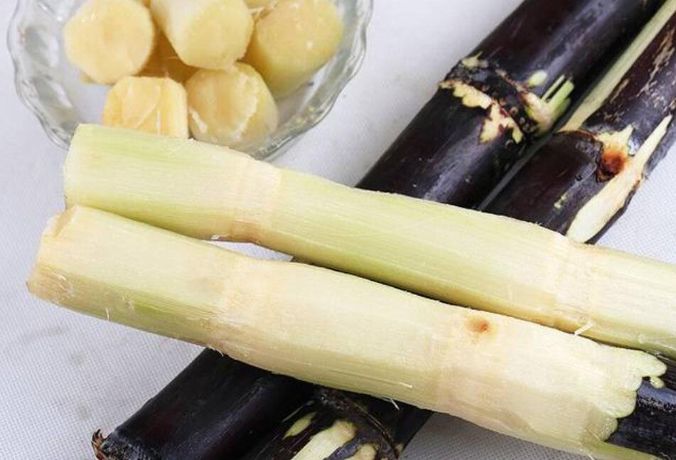 秋冬適合吃什么？南寧教美容養(yǎng)生的學(xué)校分享給你