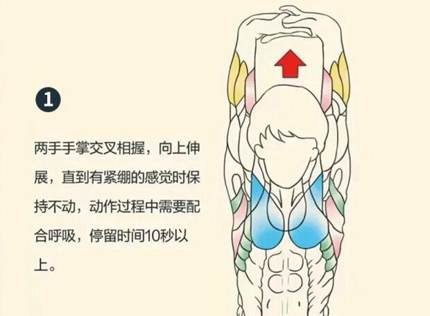 南寧美容師培訓要學什么？背部護理就是其中一項