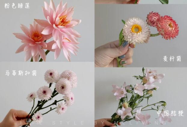 認(rèn)識常見花朵的名稱，廣西插花學(xué)校花藝培訓(xùn)基礎(chǔ)