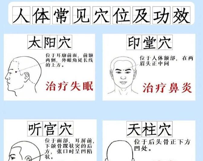 人體常見穴 位及功效，廣西專業(yè)正規(guī)美容學校講解