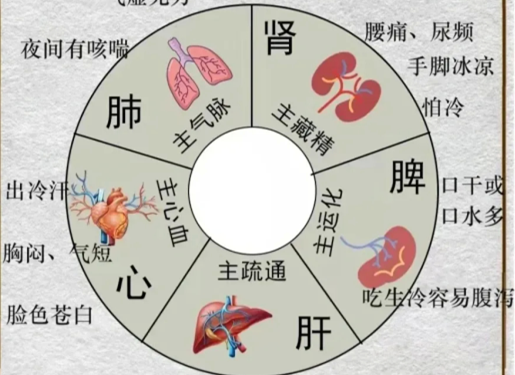 人體不同部位受寒的表現(xiàn)，廣西中醫(yī)美容培訓分享