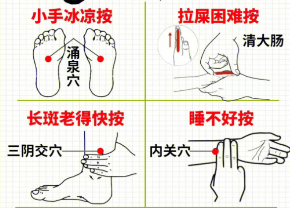 女性如何養(yǎng)生調(diào)理 ？南寧中醫(yī)美容培訓(xùn)分享
