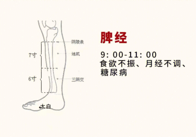 日常容易堵塞的身體部位，廣西美容基礎教學