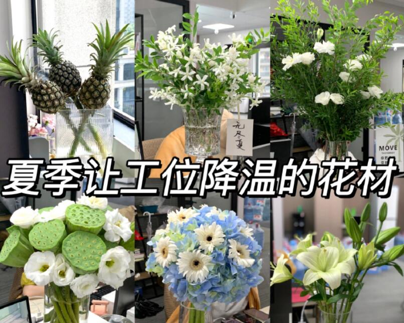 自帶降溫效果的花材，廣西學(xué)鮮花技術(shù)