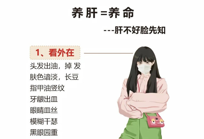 南寧學(xué)健康美容：如何正確養(yǎng)肝？