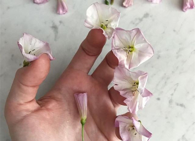 植物藝術(shù)美甲，南寧美甲造型設(shè)計(jì)培訓(xùn)分享