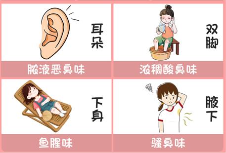 體味重的部位和緩解方法，廣西美容美體專業(yè)介紹